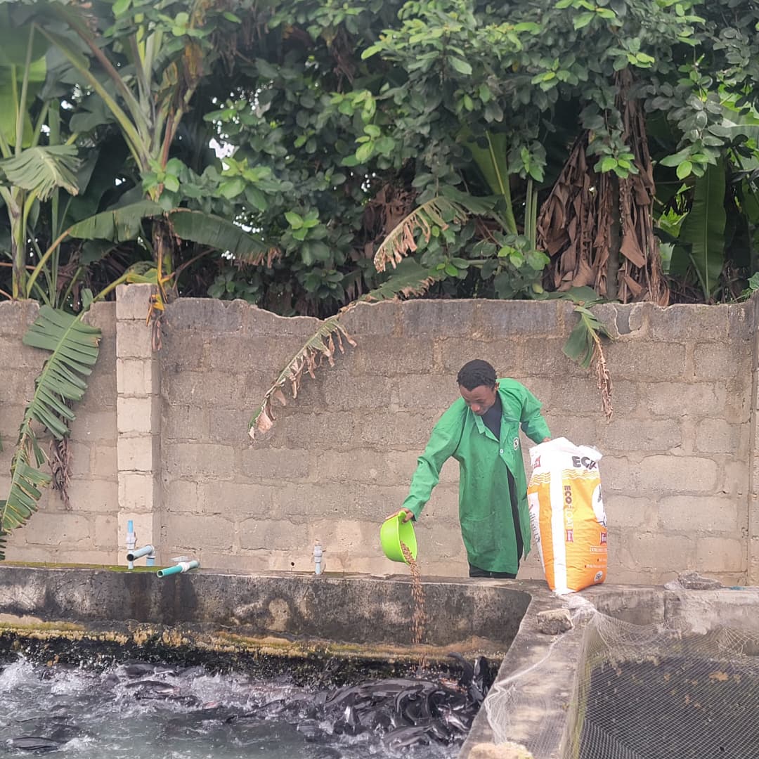 Farmer tending pond